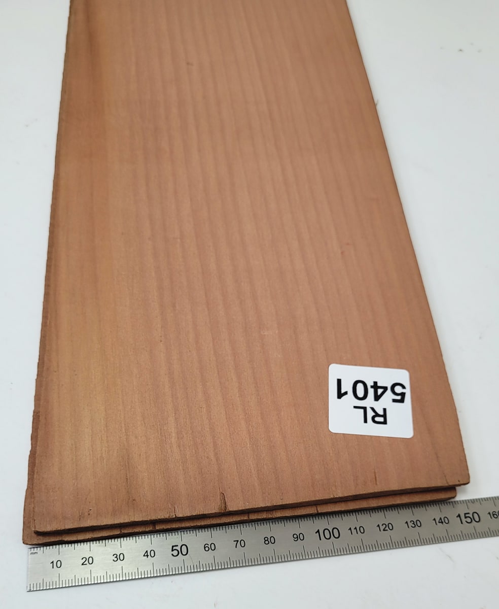 Fondo Unico REF: RL-5401 de Rauli Chileno Economico4