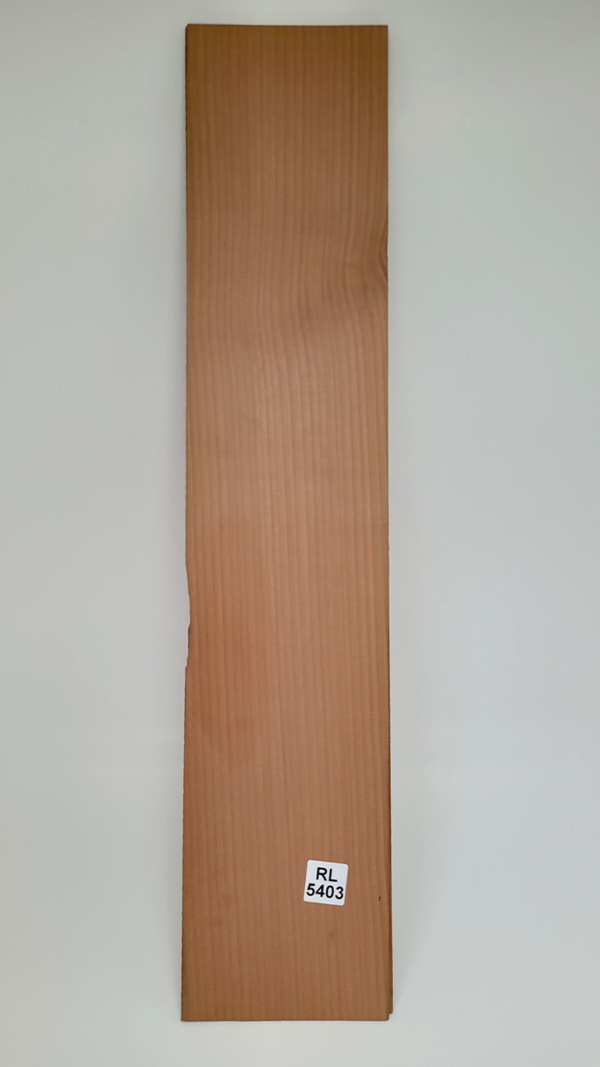 Set Unico REF: RL-5403 de Aros  de Rauli Chileno2