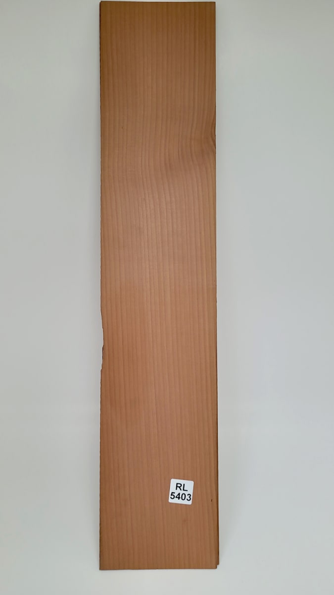 Set Unico REF: RL-5403 de Aros  de Rauli Chileno3