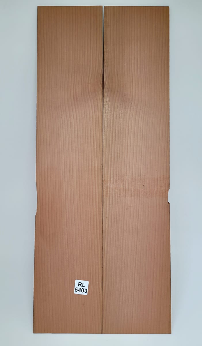 Set Unico REF: RL-5403 de Aros  de Rauli Chileno 3