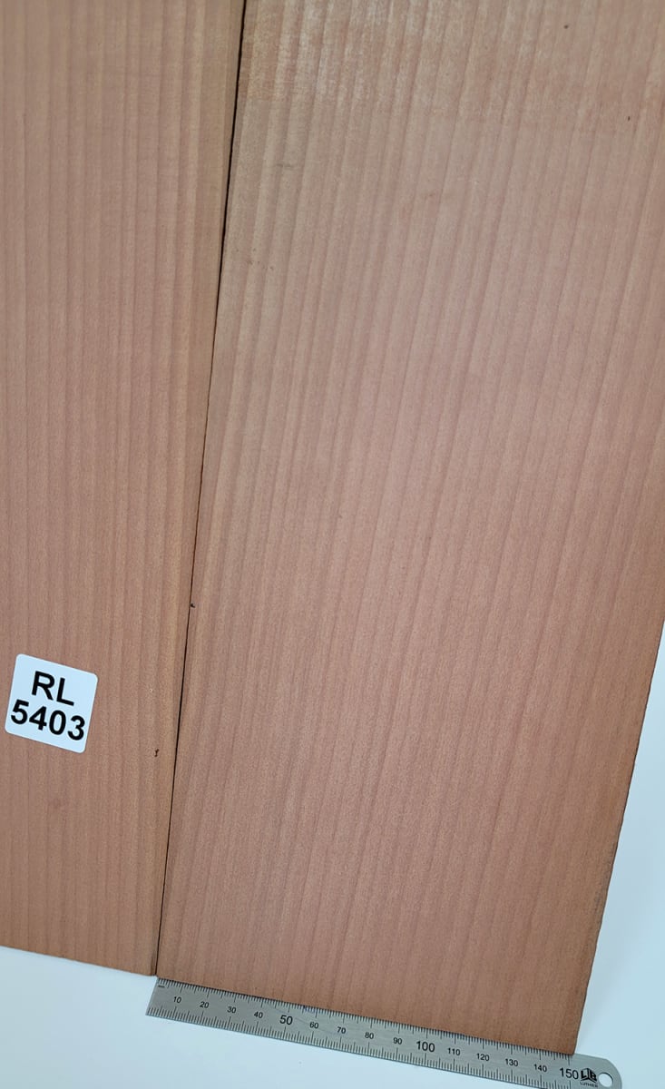 Set Unico REF: RL-5403 de Aros  de Rauli Chileno5