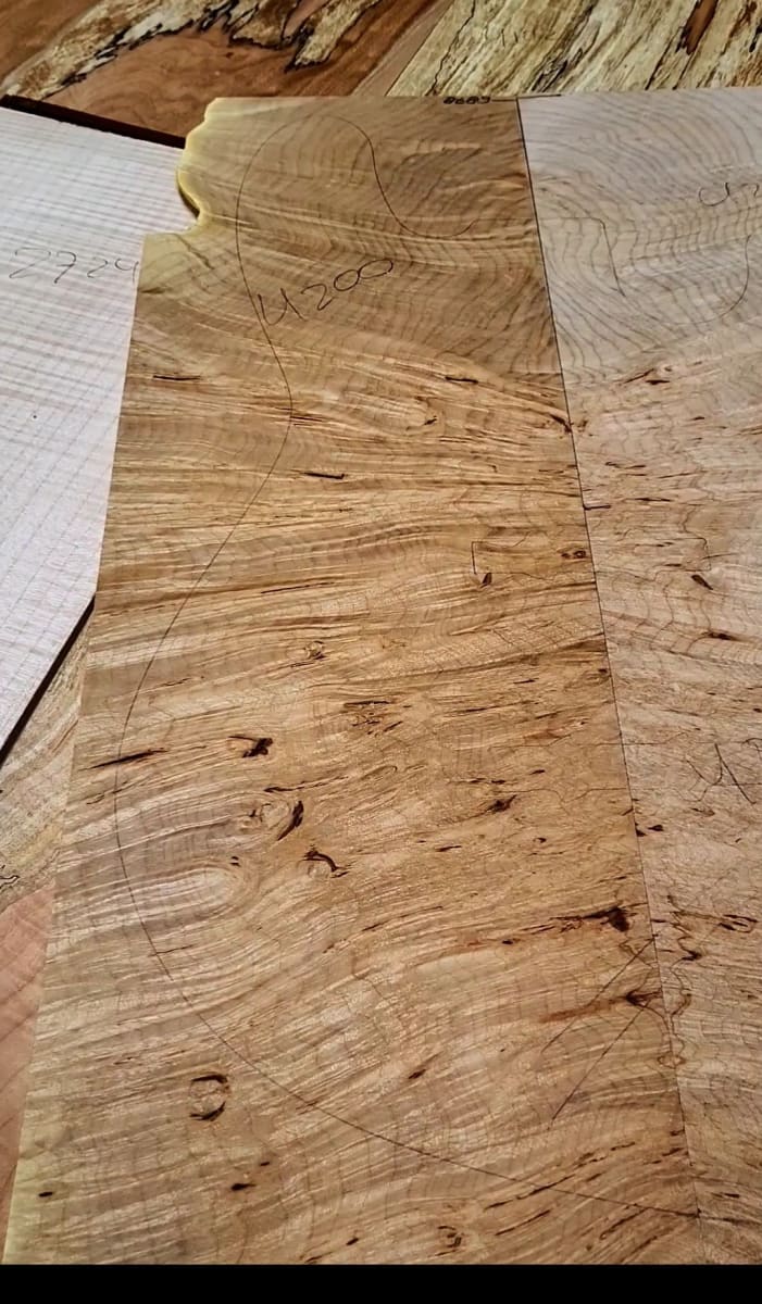 Top Unico REF 4200 de Burl Maple Canadiense4