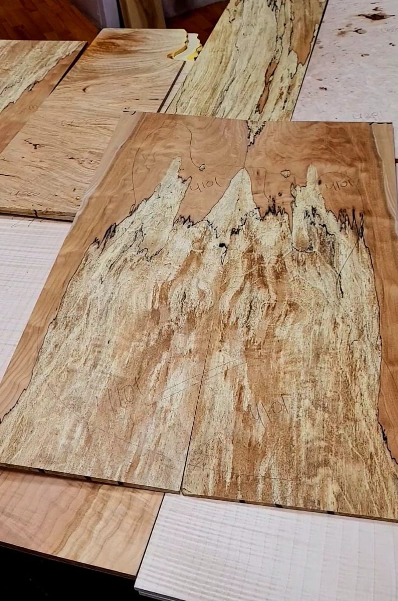Top Unico REF: 4101 de Spalted Maple Especial4