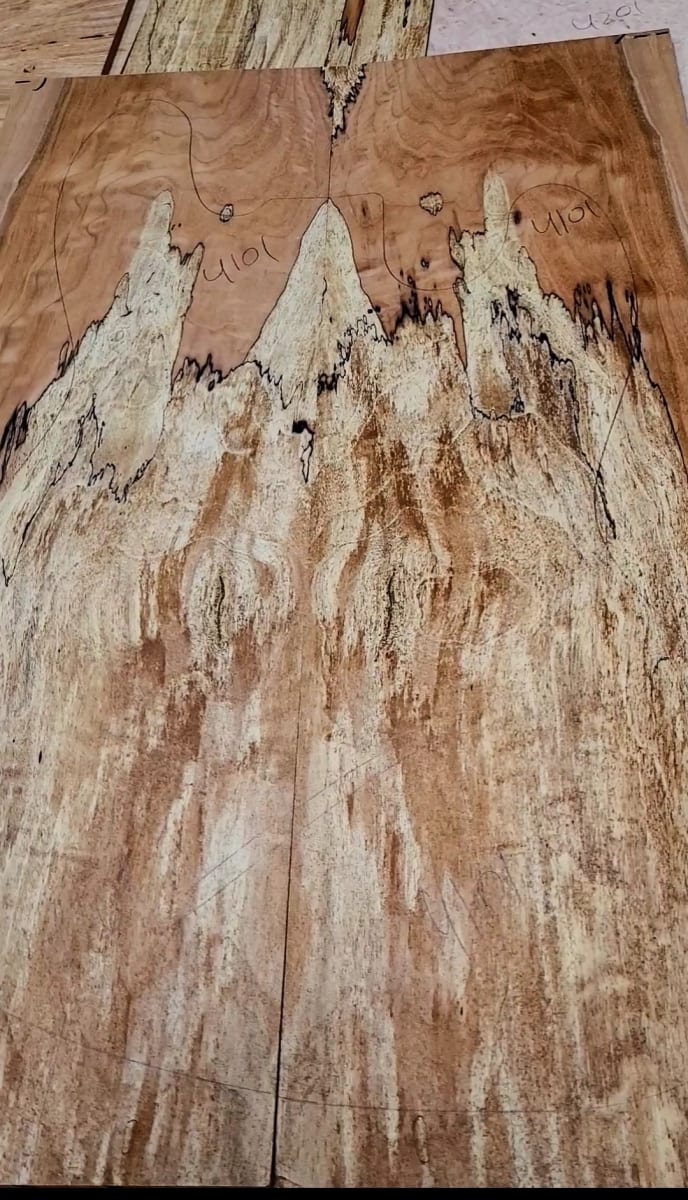 Top Unico REF: 4101 de Spalted Maple Especial 0