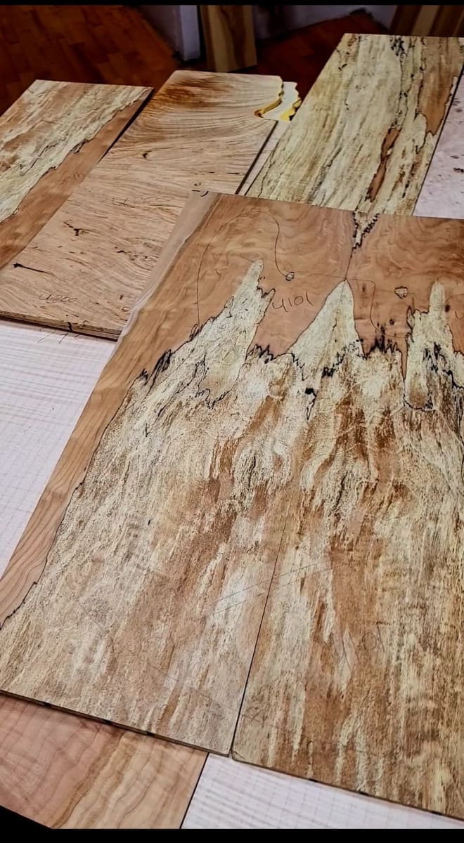 Top Unico REF: 4101 de Spalted Maple Especial7