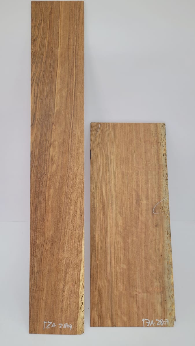 Set Unico REF: TZA-2807 de Tzalam Mexicano2