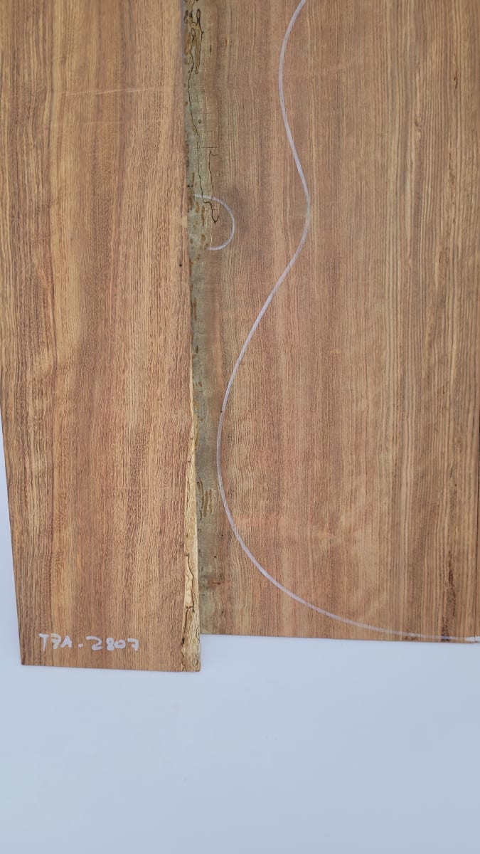 Diapason TZA-02 de Tzalam Mexicano para Guitarra7