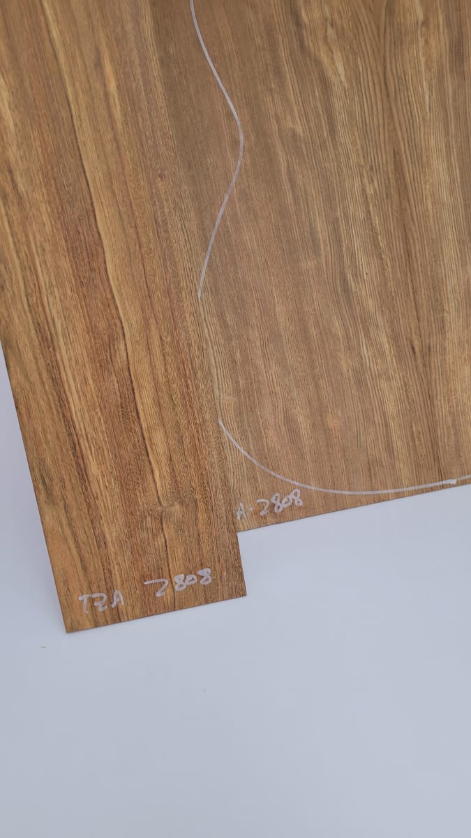 Diapason TZA-04 de Tzalam Mexicano para Guitarra4