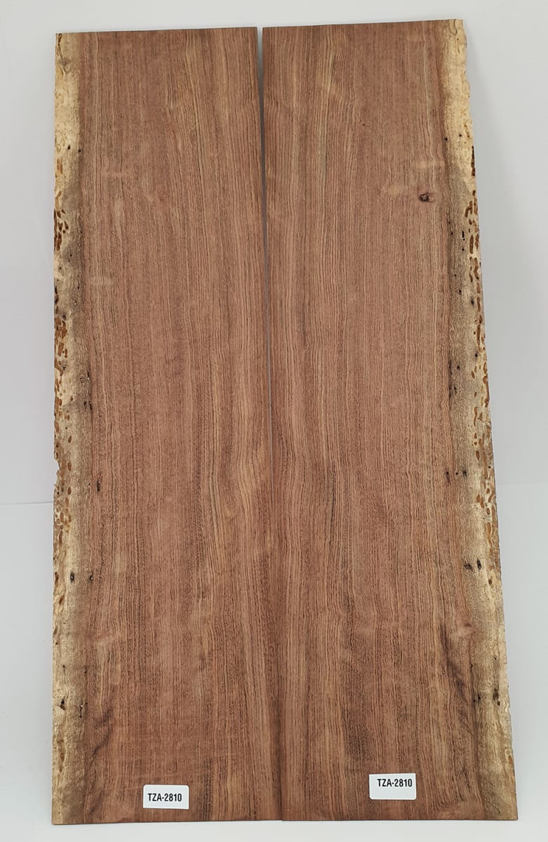 Diapason TZA-05 de Tzalam Mexicano para Guitarra4