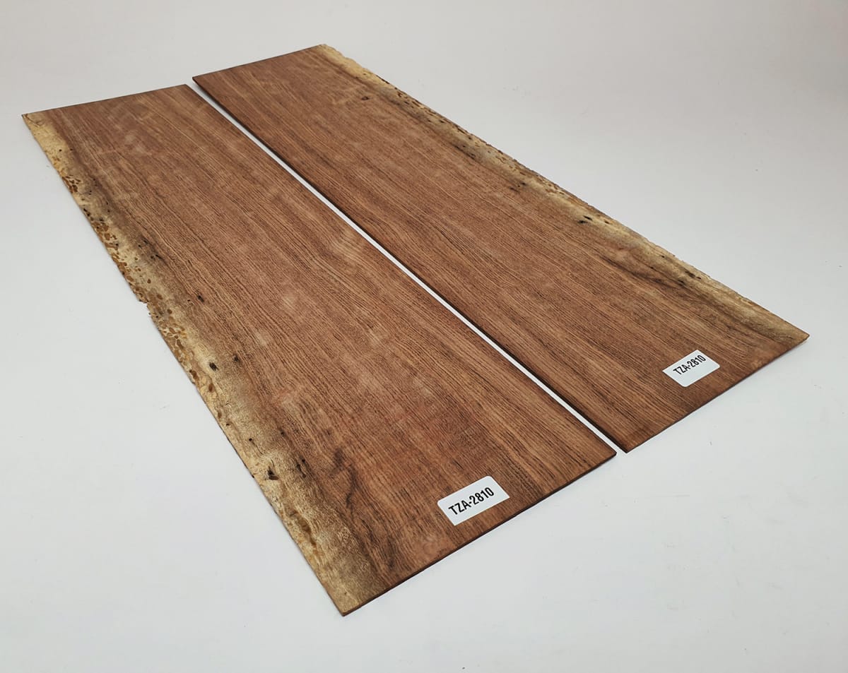 Diapason TZA-05 de Tzalam Mexicano para Guitarra8
