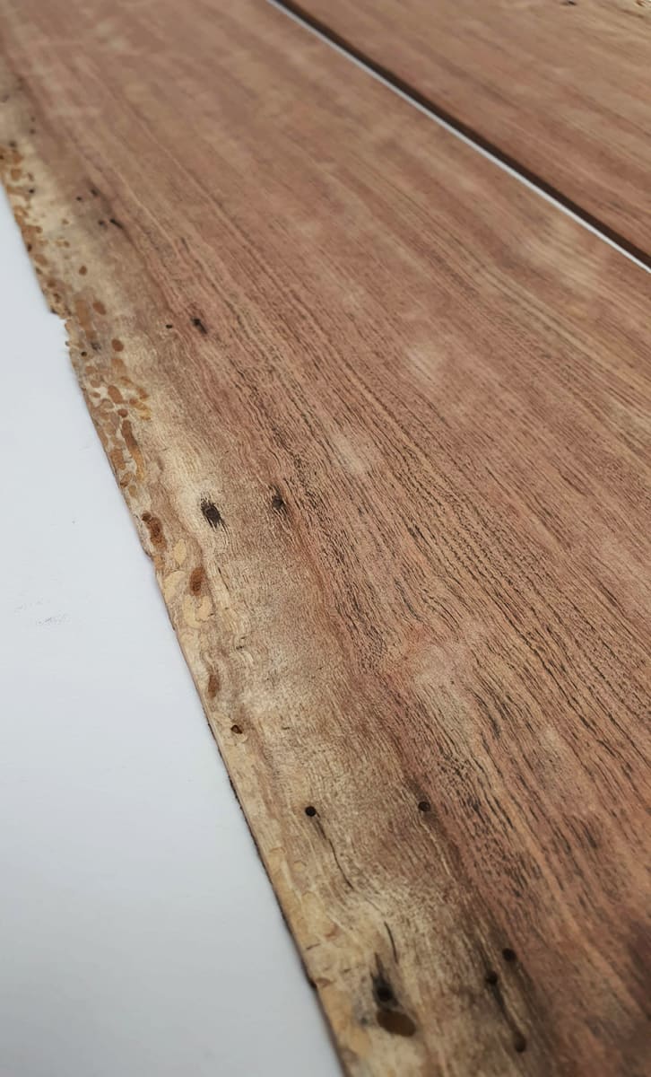 Diapason TZA-05 de Tzalam Mexicano para Guitarra9
