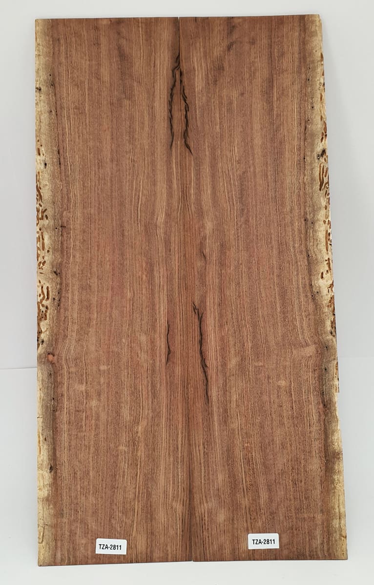 Diapason TZA-06 de Tzalam Mexicano para Guitarra3