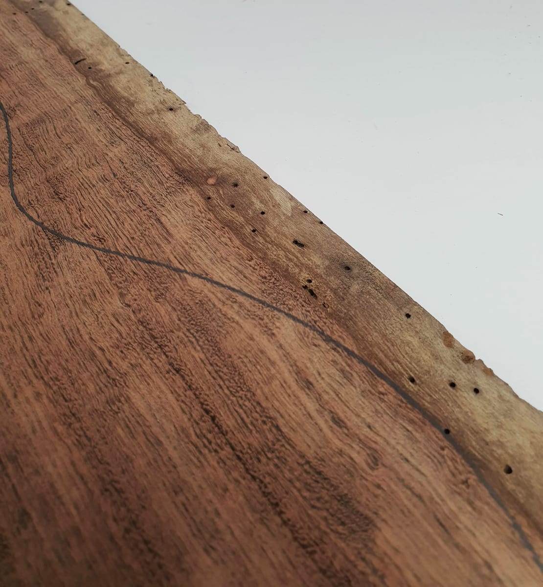 Diapason TZA-06 de Tzalam Mexicano para Guitarra5