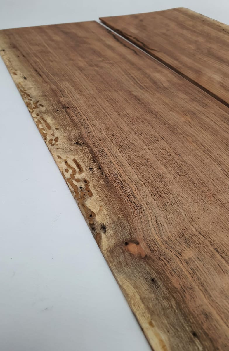 Diapason TZA-06 de Tzalam Mexicano para Guitarra6