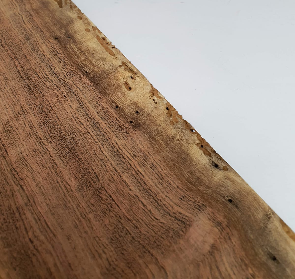 Set Unico REF: TZA-2811 de Tzalam Mexicano Especial9