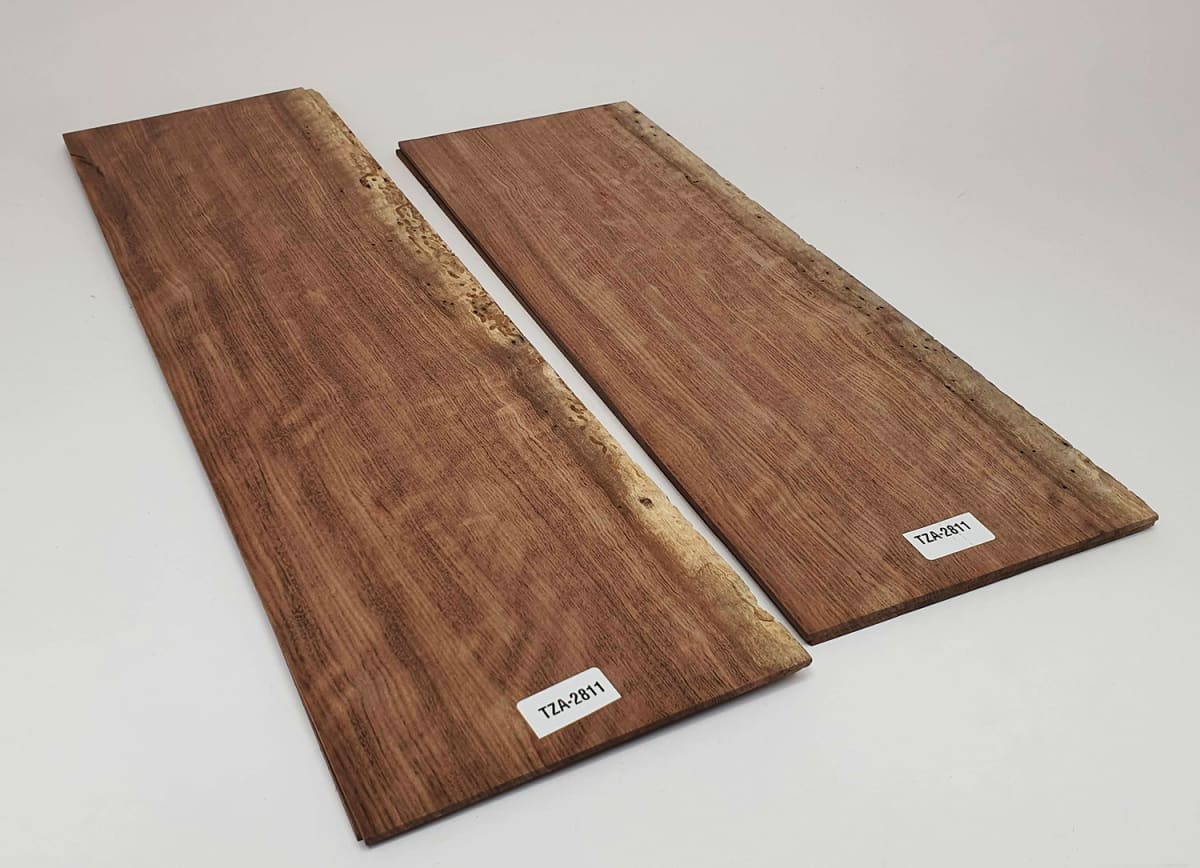 Diapason TZA-06 de Tzalam Mexicano para Guitarra11