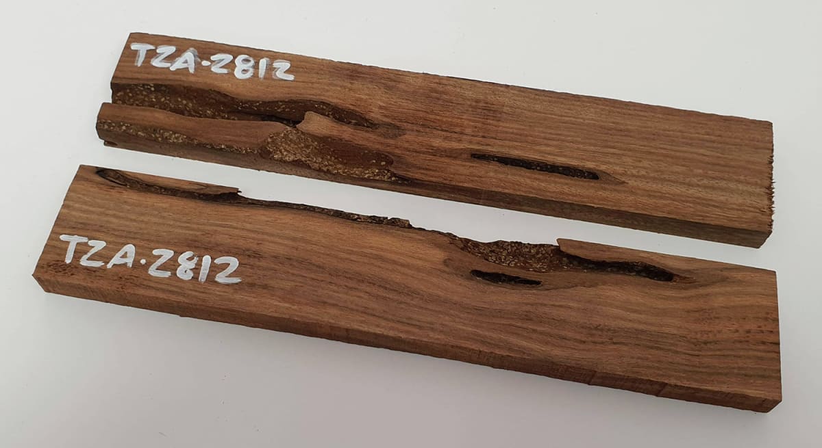 Pack Unico REF: TZA-2812 de Tzalam Mexicano 0