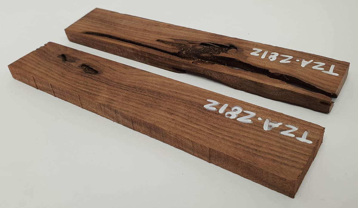 Pack Unico REF: TZA-2812 de Tzalam Mexicano4