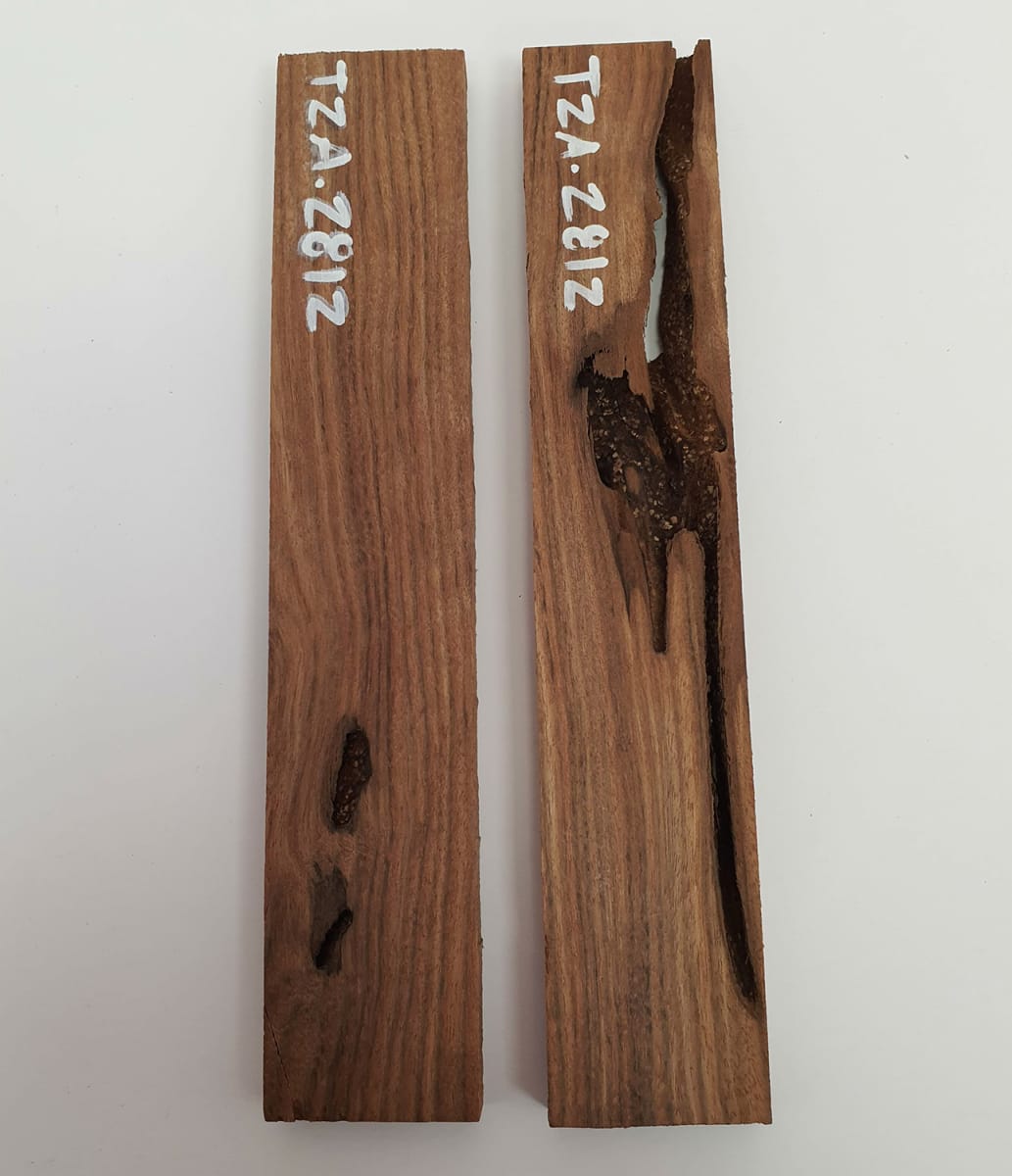 Pack Unico REF: TZA-2812 de Tzalam Mexicano5