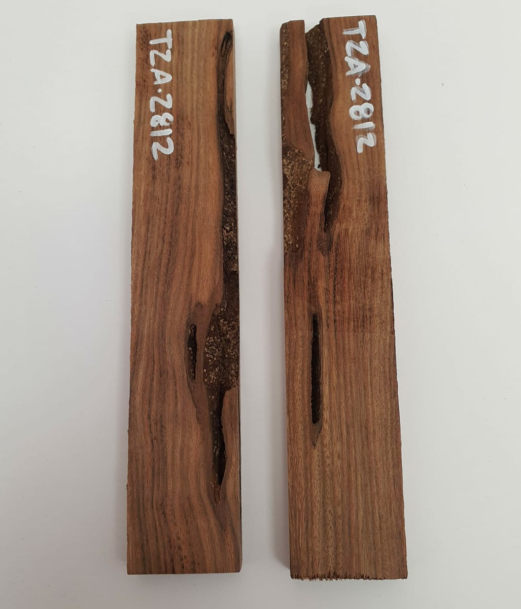 Diapason TZA-07 de Tzalam Mexicano para Guitarra6