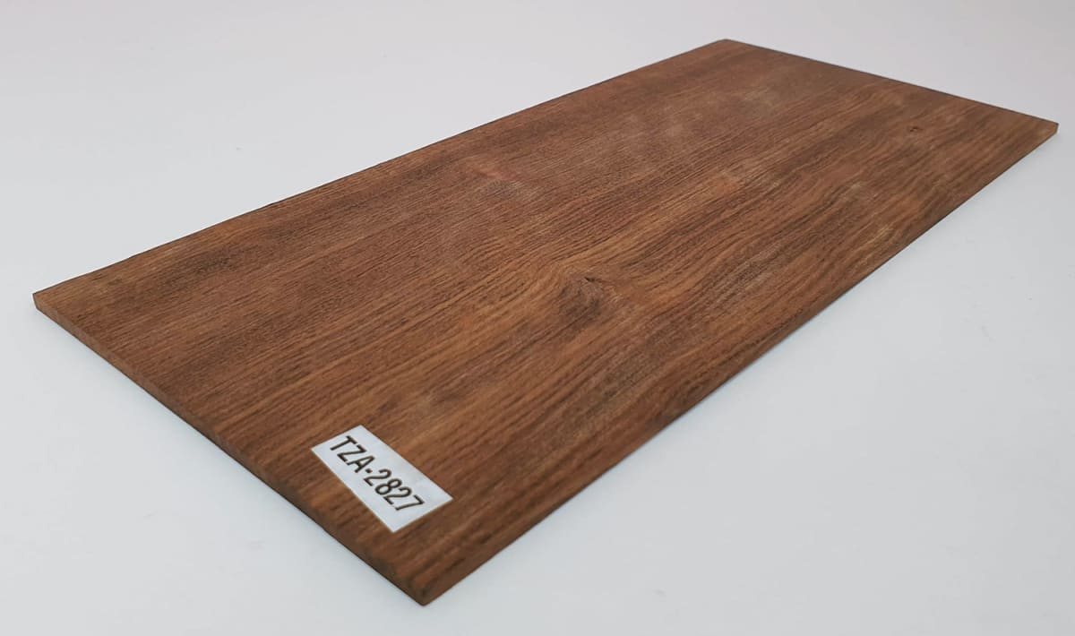 Lamina Unica REF: TZA-2827 de Tzalam Mexicano Especial 0