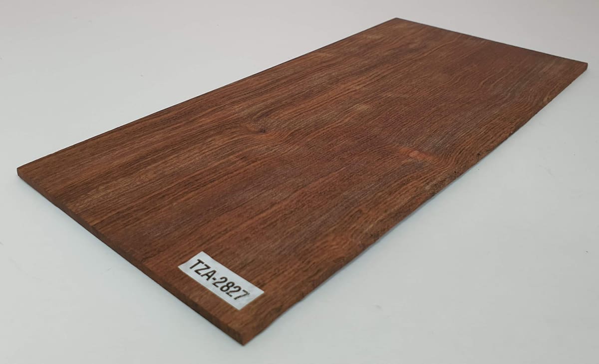 Diapason TZA-70 de Tzalam Mexicano para Guitarra2
