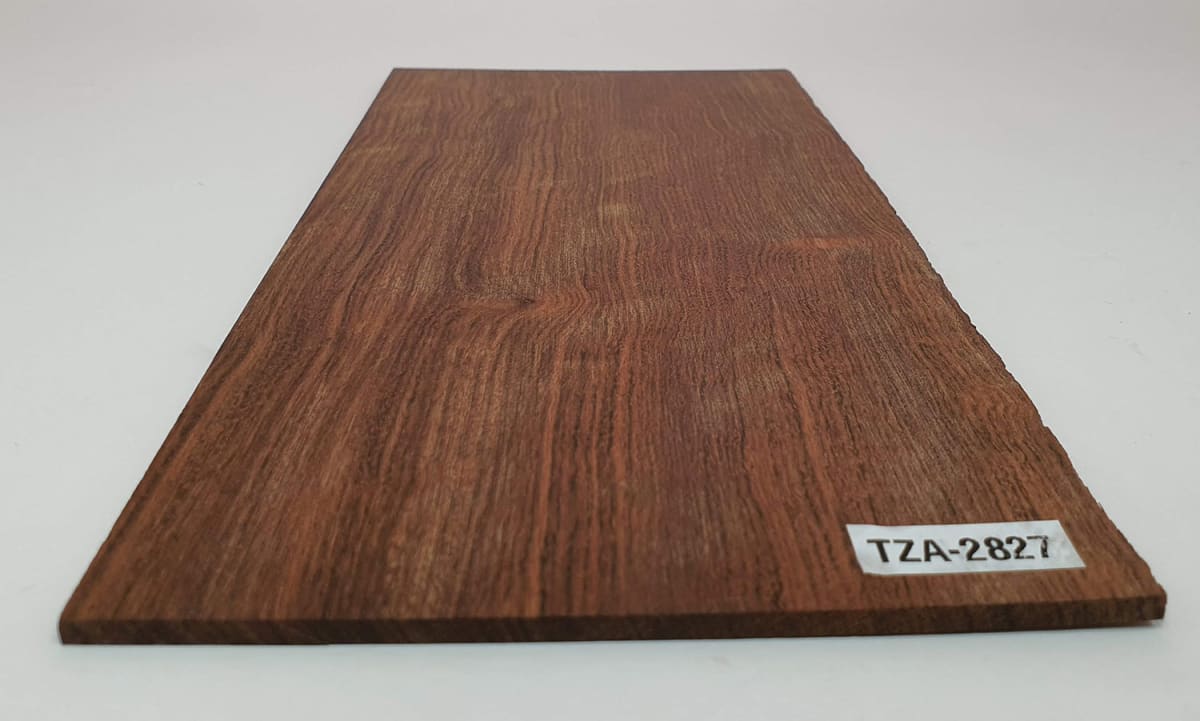Diapason TZA-70 de Tzalam Mexicano para Guitarra4