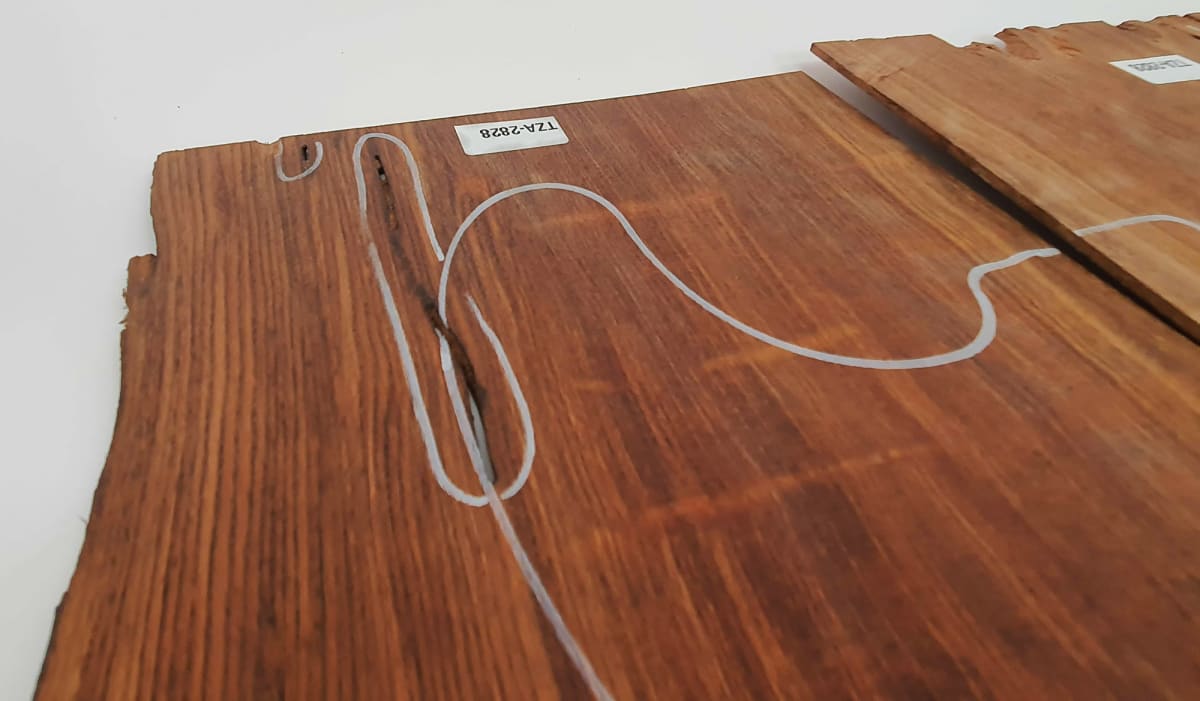 Top Unico REF: TZA-2828 de Tzalam Mexicano Especial5