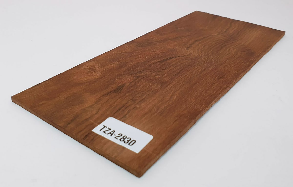 Diapason TZA-73 de Tzalam Mexicano para Guitarra2