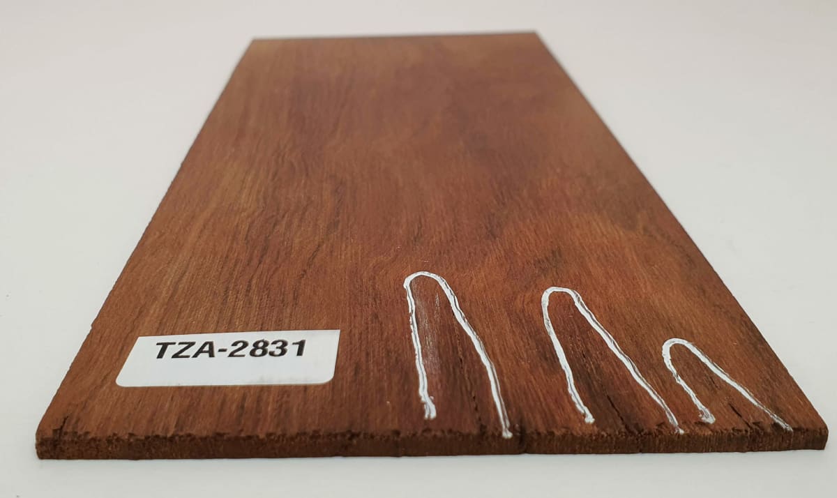 Diapason TZA-74 de Tzalam Mexicano para Guitarra3