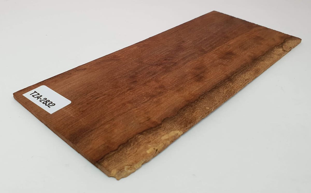 Pieza Unica REF: TZA-2832 de Tzalam Mexicano Especial 0