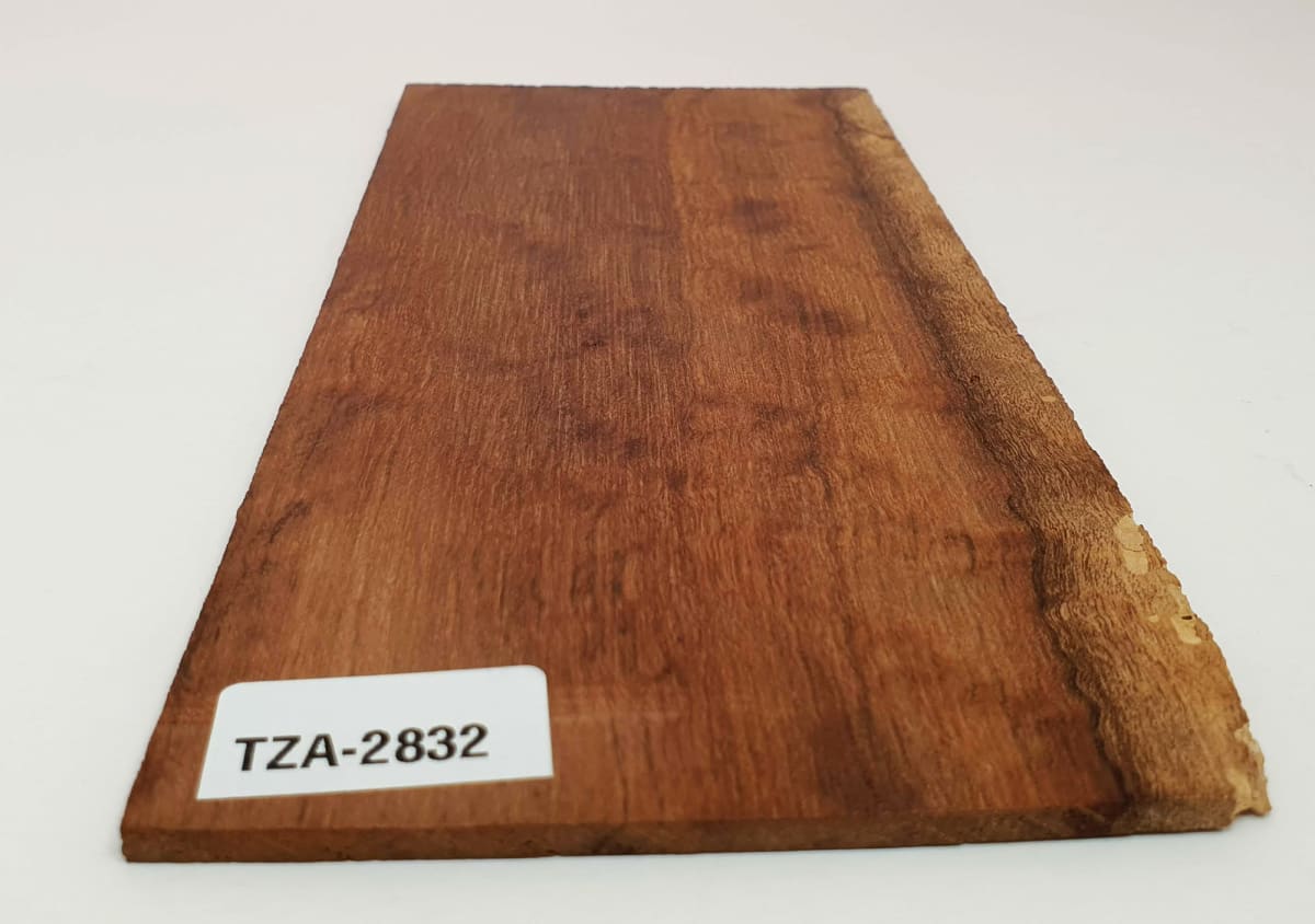 Diapason TZA-75 de Tzalam Mexicano para Guitarra3