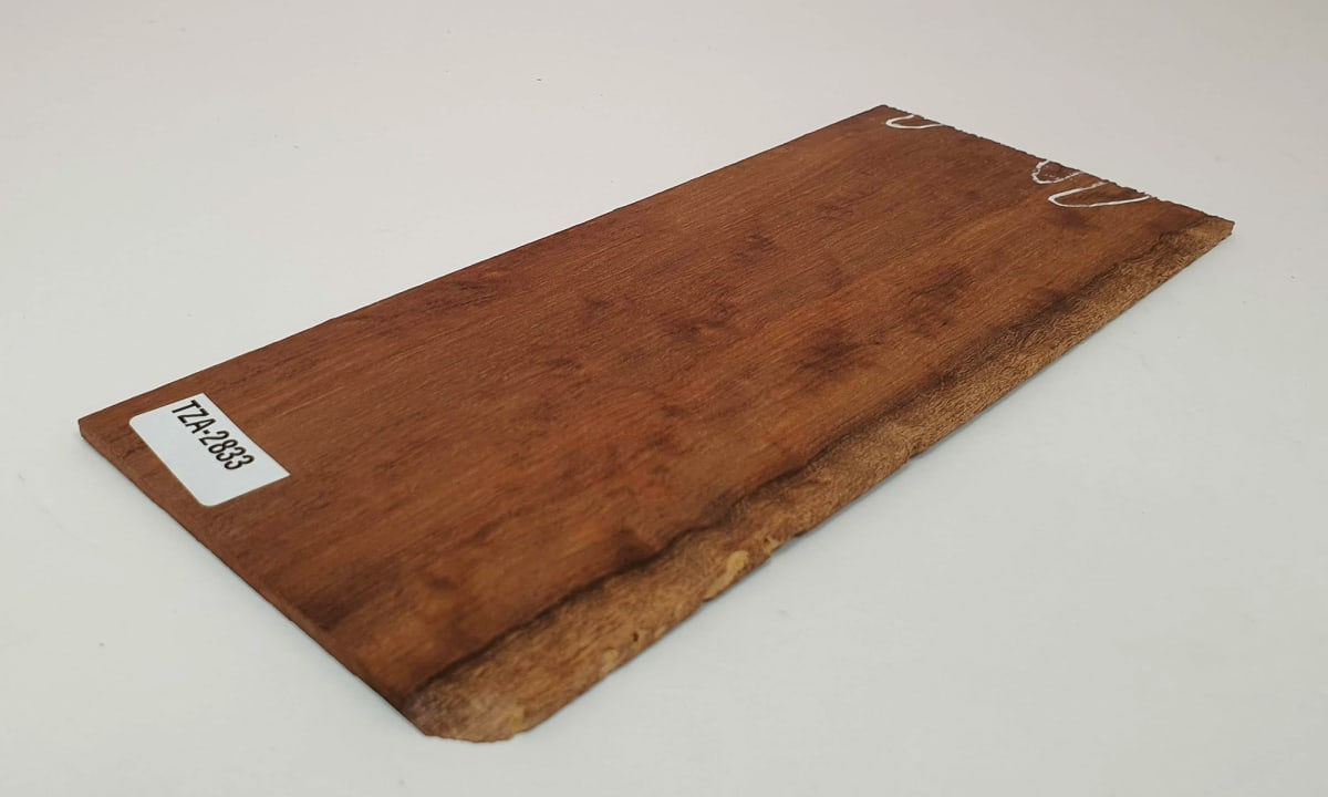 Pieza Unica REF: TZA-2833 de Tzalam Mexicano Especial2