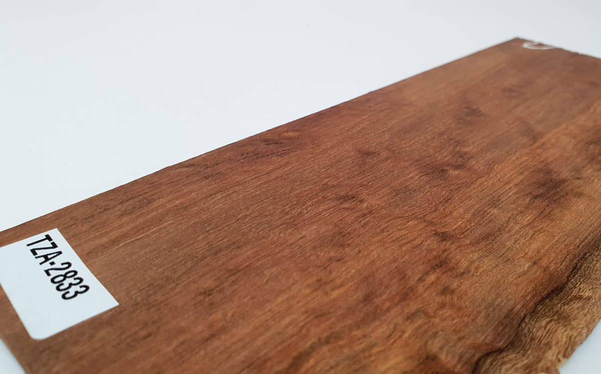 Diapason TZA-76 de Tzalam Mexicano para Guitarra4