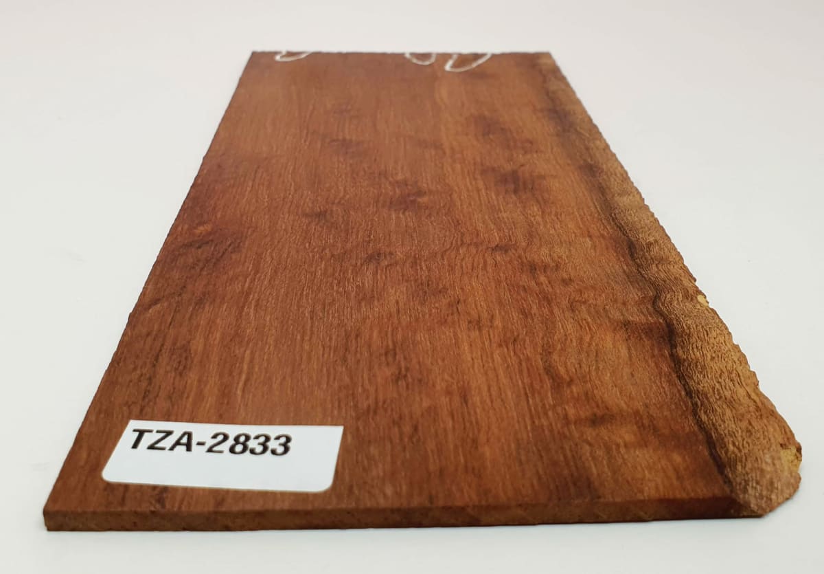 Diapason TZA-76 de Tzalam Mexicano para Guitarra3