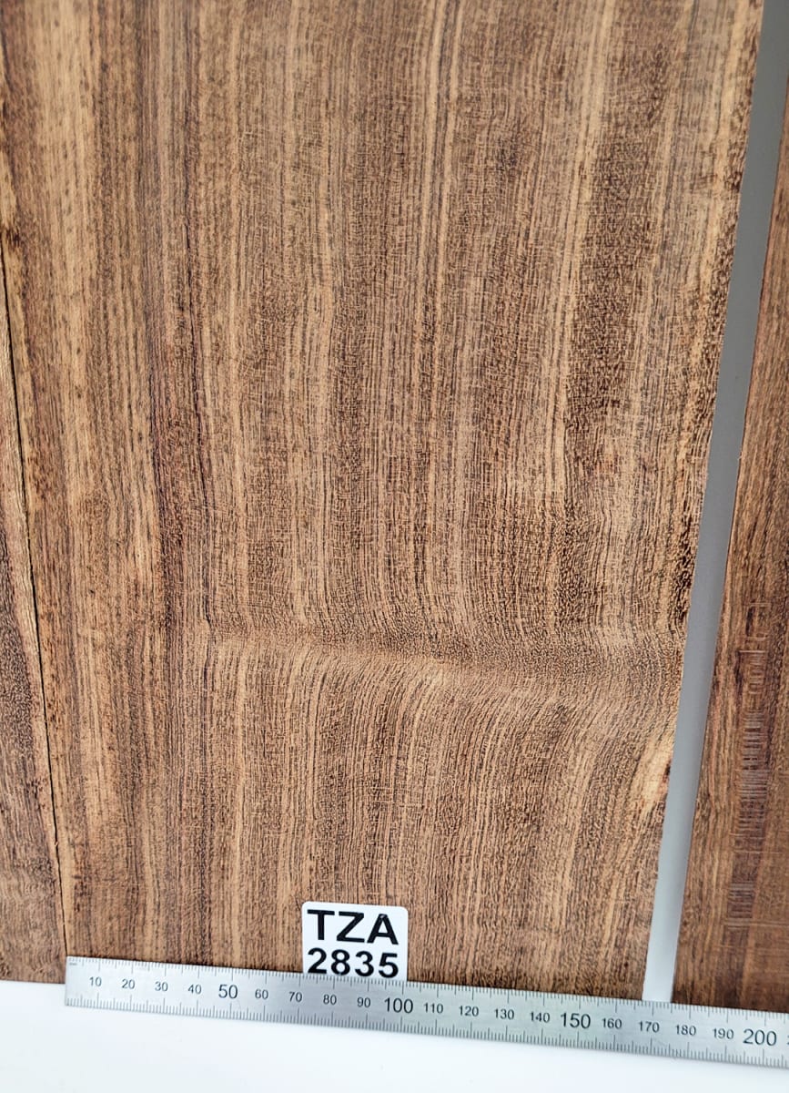 Set de Fondo y Costado TZA-352 de Tzalam Mexicano Especial para Instrumentos Pequeños4