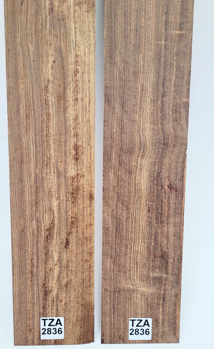 Pack Unico REF: TZA-2836 de Tzalam Mexicano Especial3