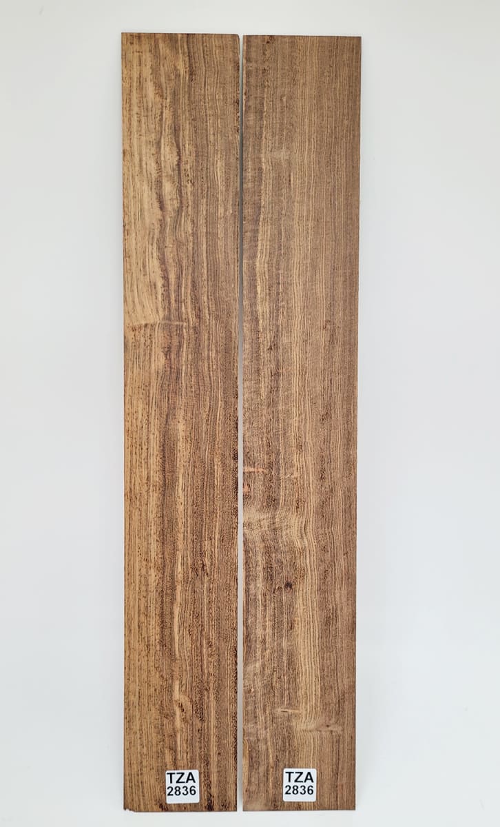 Pack Unico REF: TZA-2836 de Tzalam Mexicano Especial 0