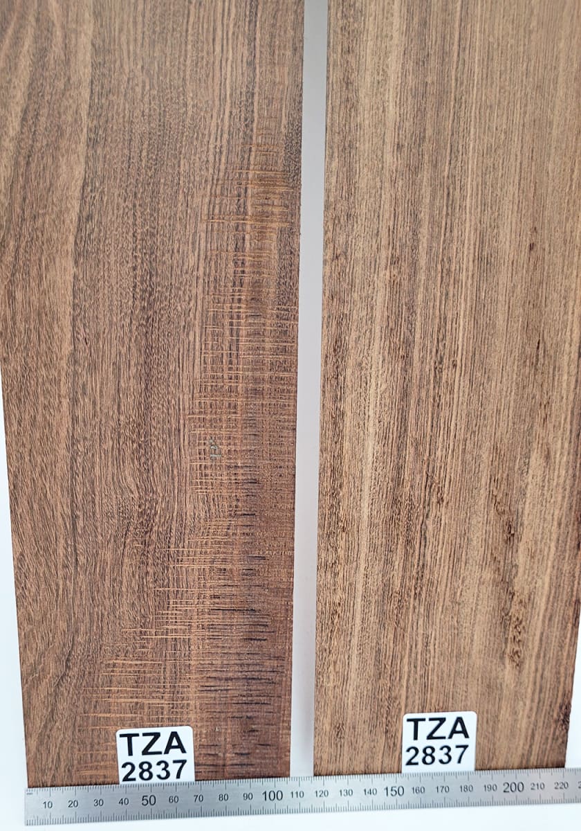 Pack Unico REF: TZA-2837 de Tzalam Mexicano Especial4