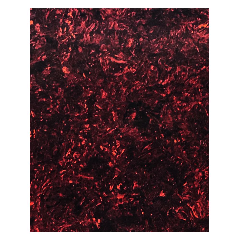 Lamina Protectora. Mod: PC-TOR-0.5RD. Color: Red Tortoise de 220 x 290 x 0.51