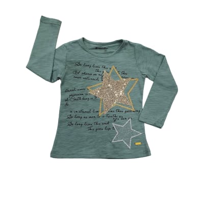POLERA M/L NIÑA ESTRELLA VERDE TALLA 2 A 81