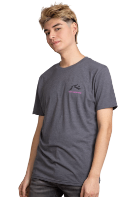 RUSTY V25-POLERA RUSTY HOMBRE HAFOMENA S24R1001GRI GRIS1