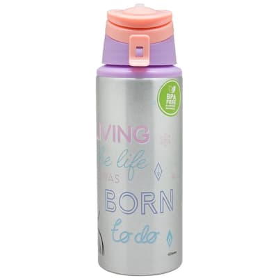 Botella Metalica Frozen de 500ml1