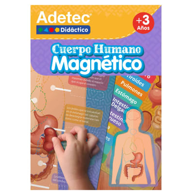 Lamina Magnética Cuerpo Humano Adetec