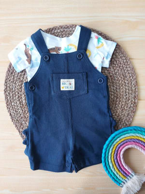 Jardinera Verano Azul Dinosaurio2