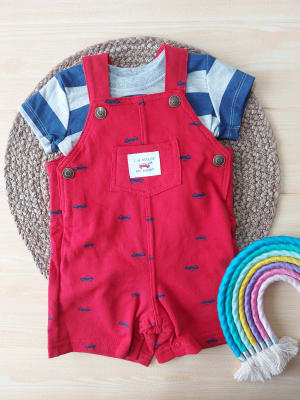 Jardinera Verano Rojo Autitos2