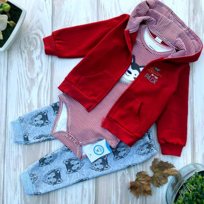 Conjunto 3 Piezas de Micropolar Rojo Lobito1