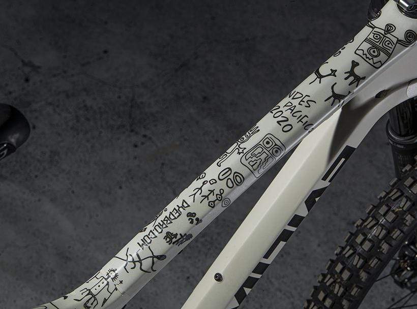 Protector Cuadro Pro Full Andes Pacifico 2020 Black3