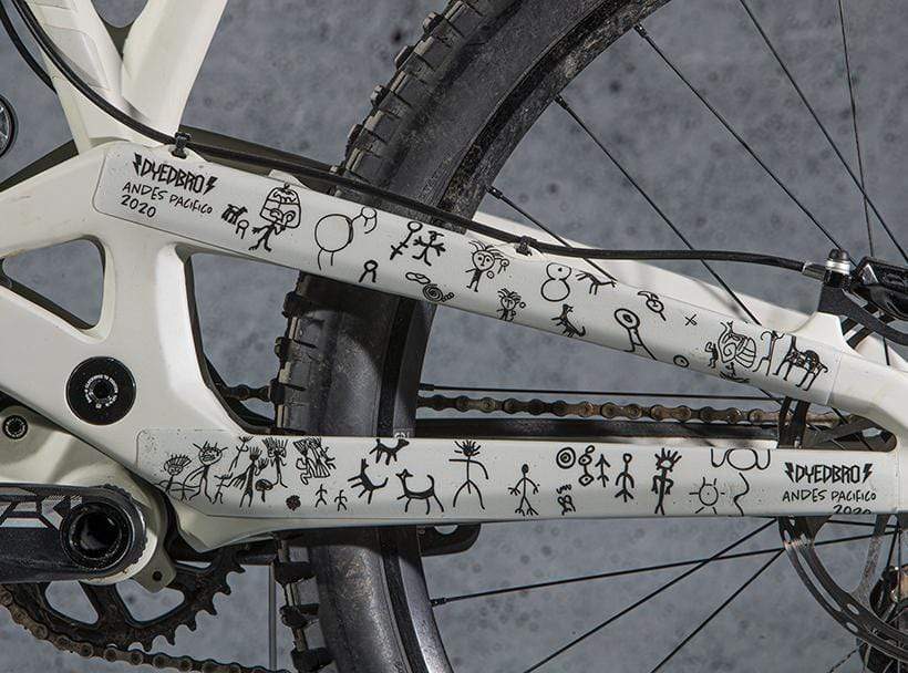 Protector Cuadro Pro Full Andes Pacifico 2020 Black4