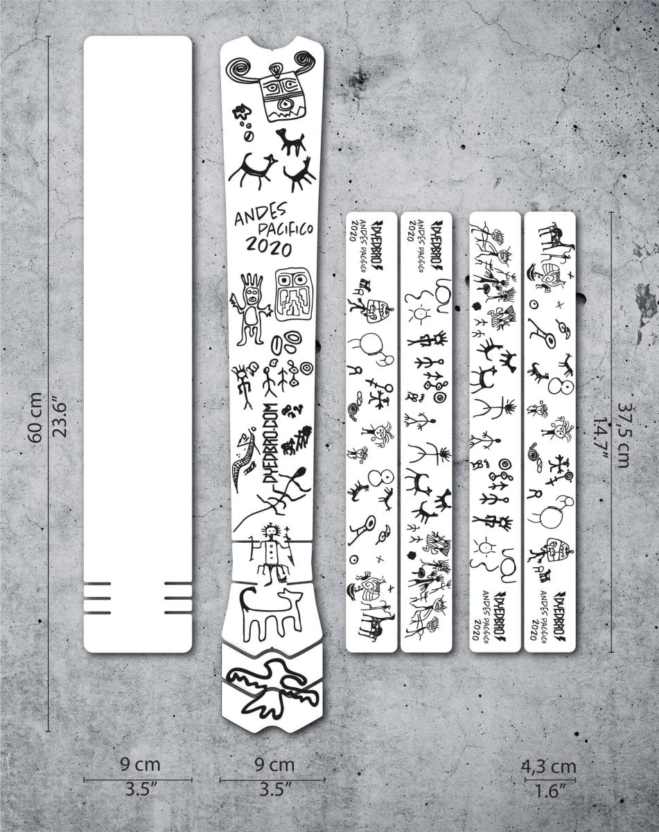 Protector Cuadro Pro Full Andes Pacifico 2020 Black5